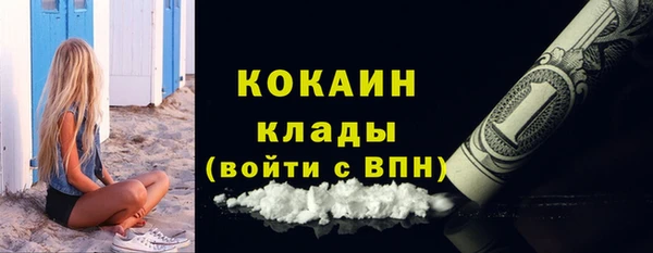 ПСИЛОЦИБИНОВЫЕ ГРИБЫ Магас
