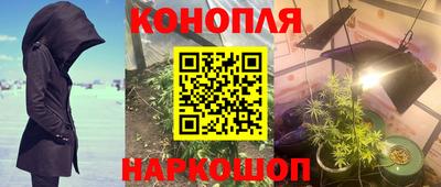 гашик Гусиноозёрск