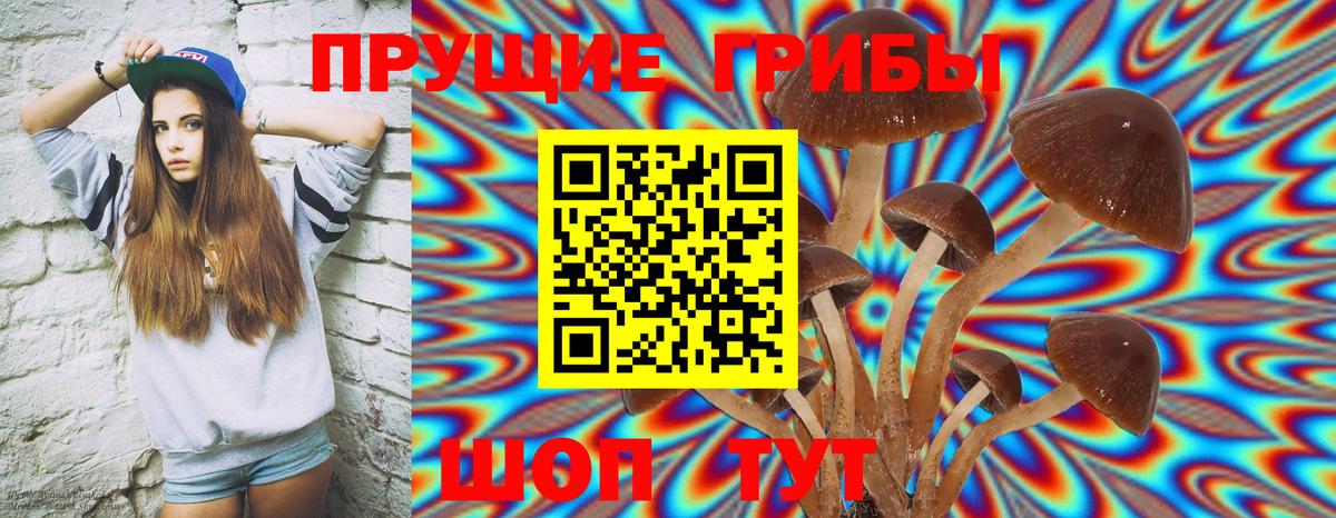 Псилоцибиновые грибы мухоморы  Усинск  Псилоцибиновые грибы прущие грибы 