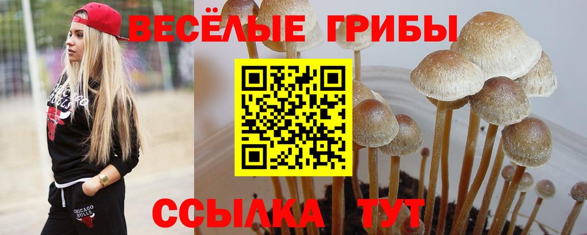 Галлюциногенные грибы ЛСД Усинск